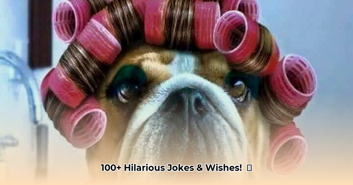 felicitatie-man-grappig